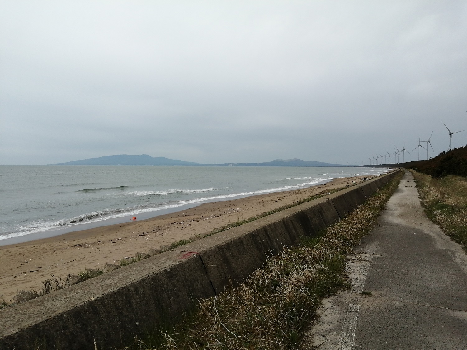 出戸浜海水浴場 ブルーベリーと合わせて海水浴も楽しもう ブルーベリー摘み取り 和が楽園 出戸浜海水浴場 ブルーベリーと合わせて海水浴も楽しもう ブルーベリー摘み取り 和が楽園
